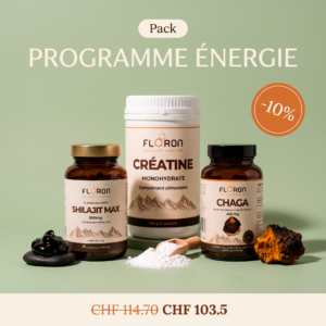 Programme énergie