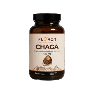 Chaga 450 mg