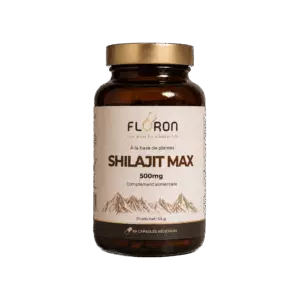 Shilajit max 500mg