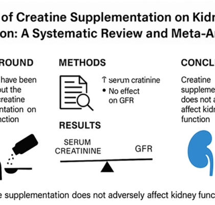 Creatine supplementation and kidney health