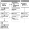 Effects of creatine supplementation on cognitive function