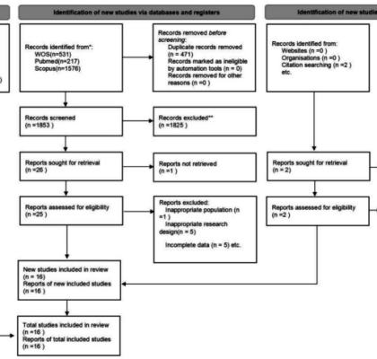 Effects of creatine supplementation on cognitive function