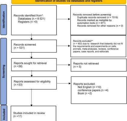 L-Arginine and lipid profile