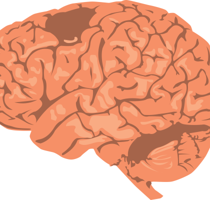 Omega-3 and cognitive function
