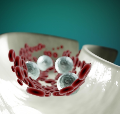 Vitamin K2 cardiovascular and kidney health