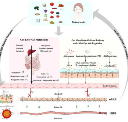 Zinc and immune factors